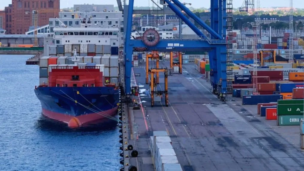 Complete Guide to DP World Maputo: Terminal Operations, Costs, and Import Procedures